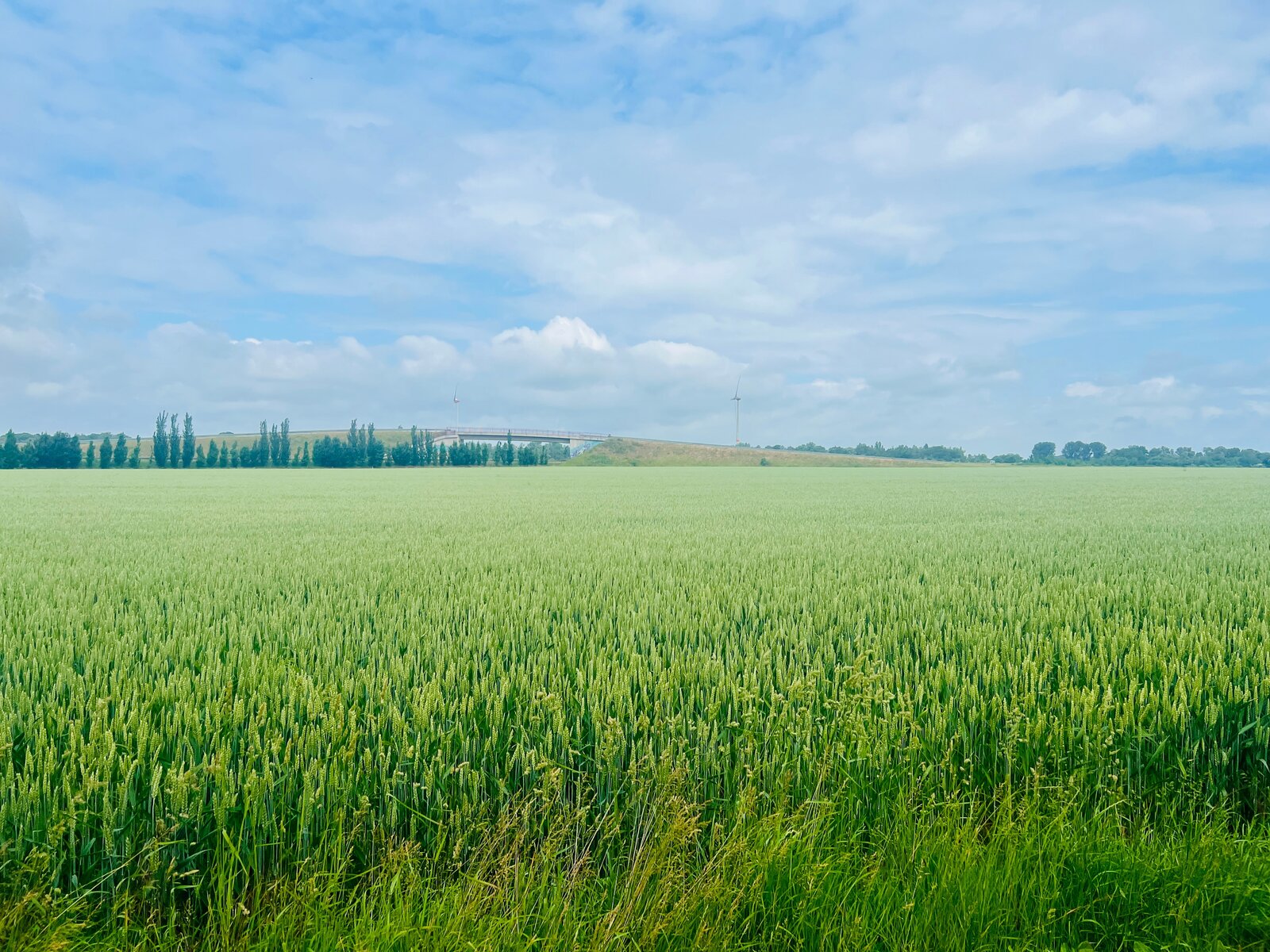 andere Straßenseite