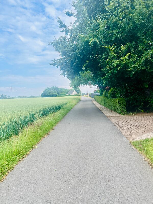 Umgebung