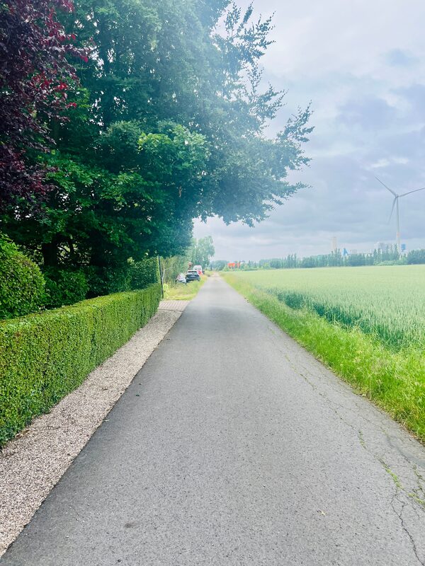 Umgebung